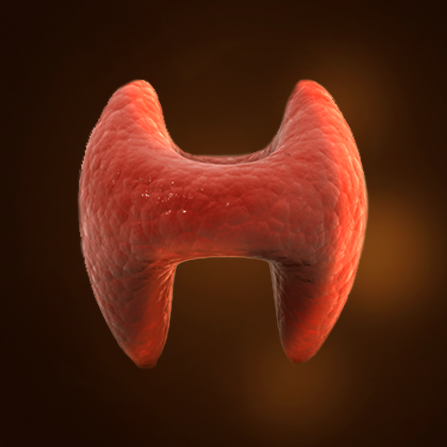 Thyroidectomy Thyroidectomy